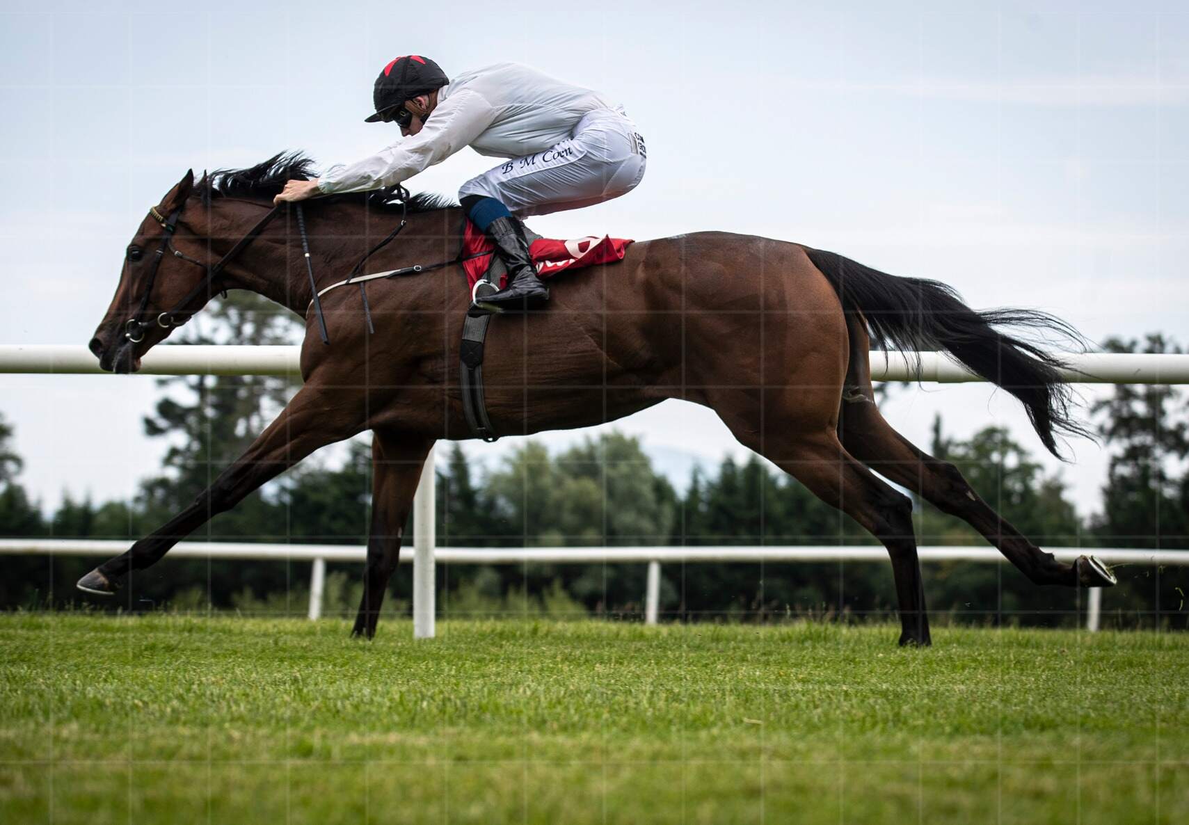 Decoding Form Decoding Horse Form: A Breeder’s Perspective on Reading Race Form ...
