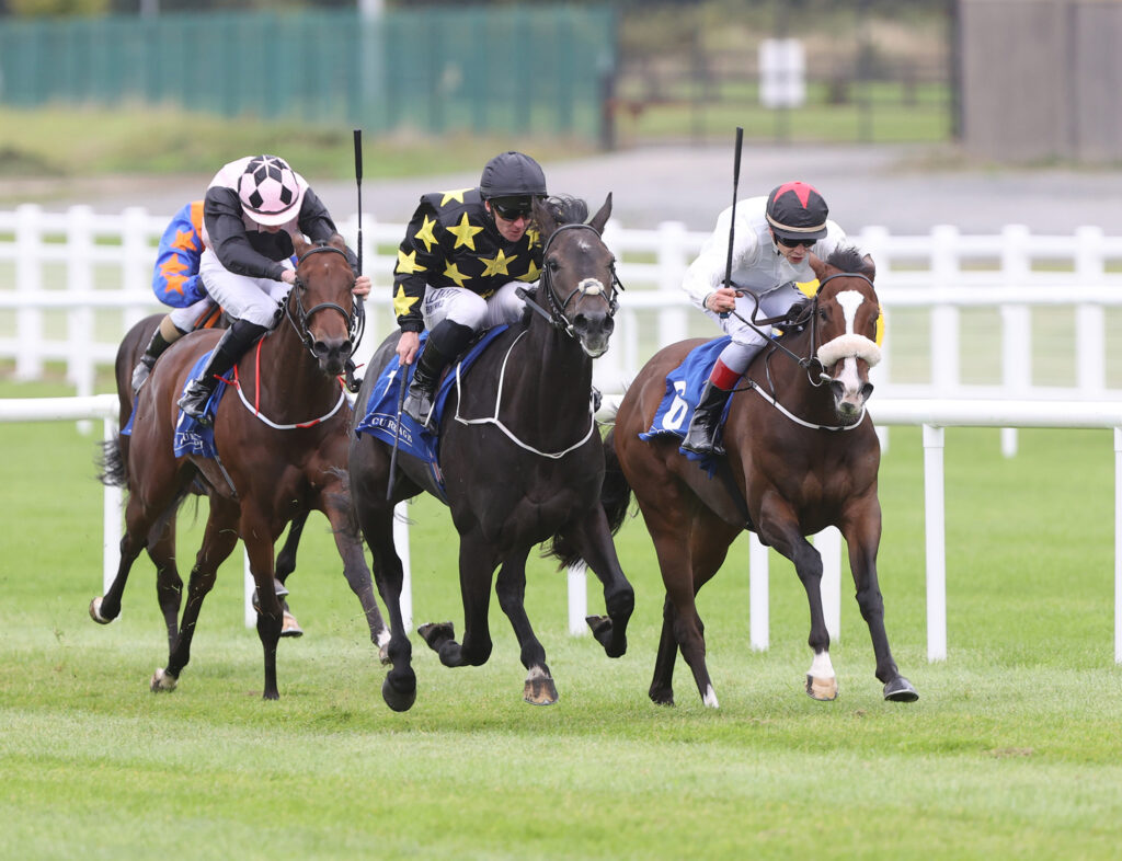 The Role of Technology in Modern Horse Racing Syndicates.Racing