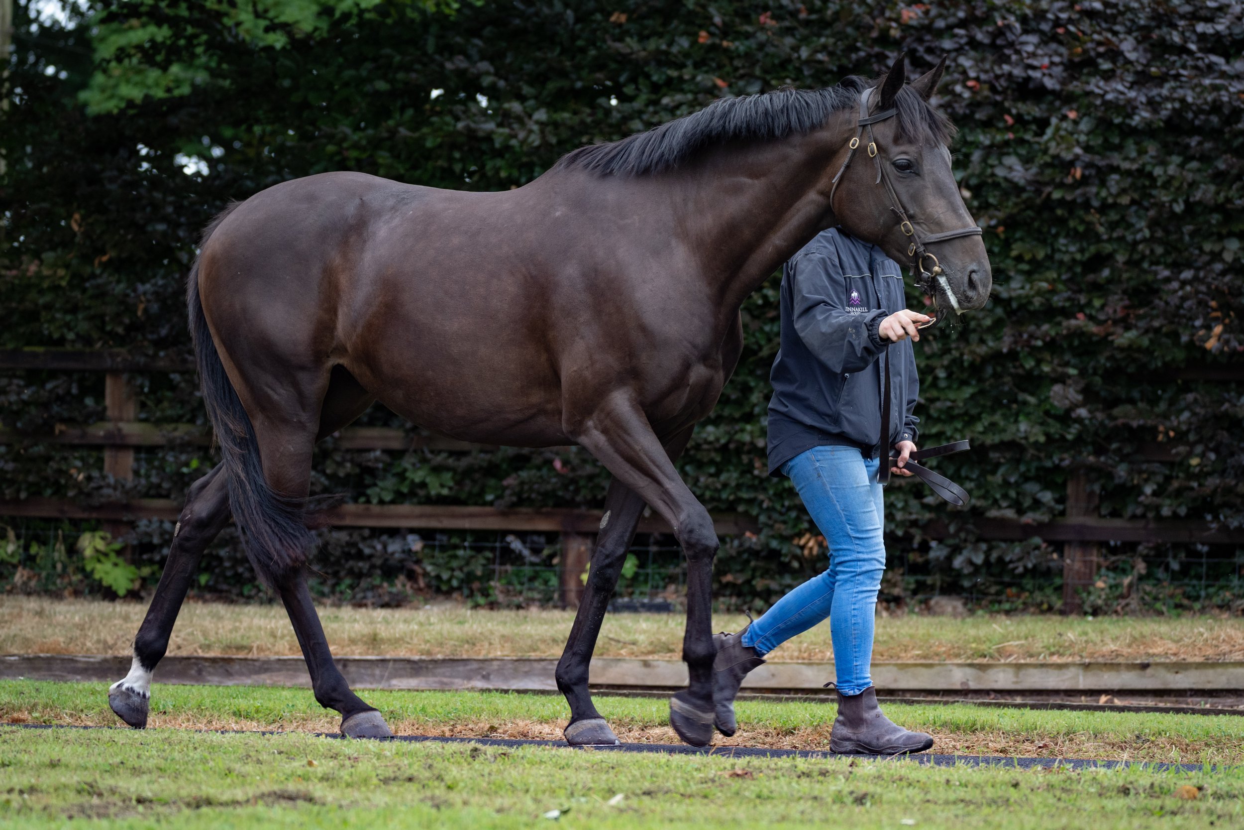 Syndicates Racing Open Morning 23.07.2022 (15 of 69).jpg