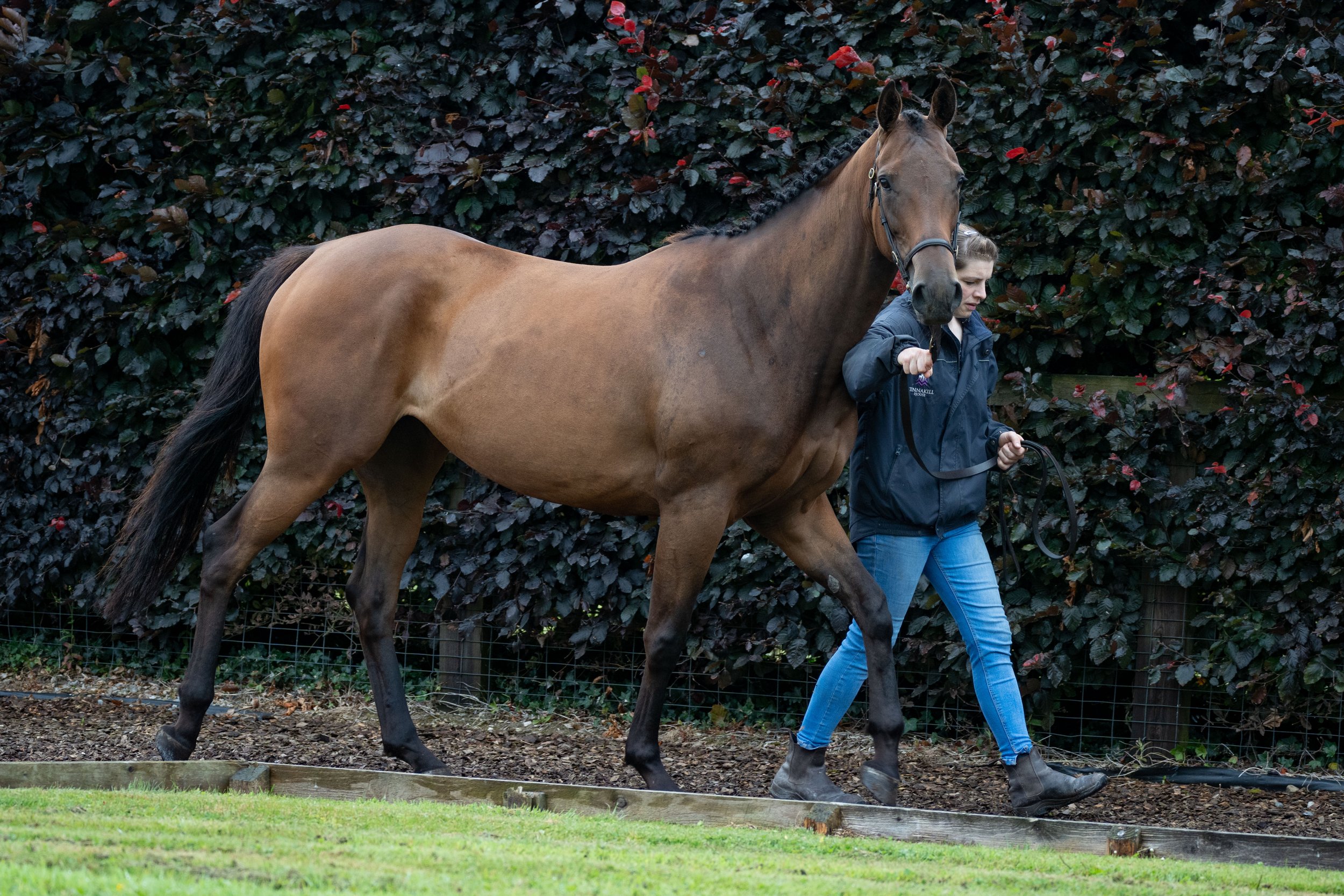 Syndicates Racing Open Morning 23.07.2022 (41 of 69).jpg