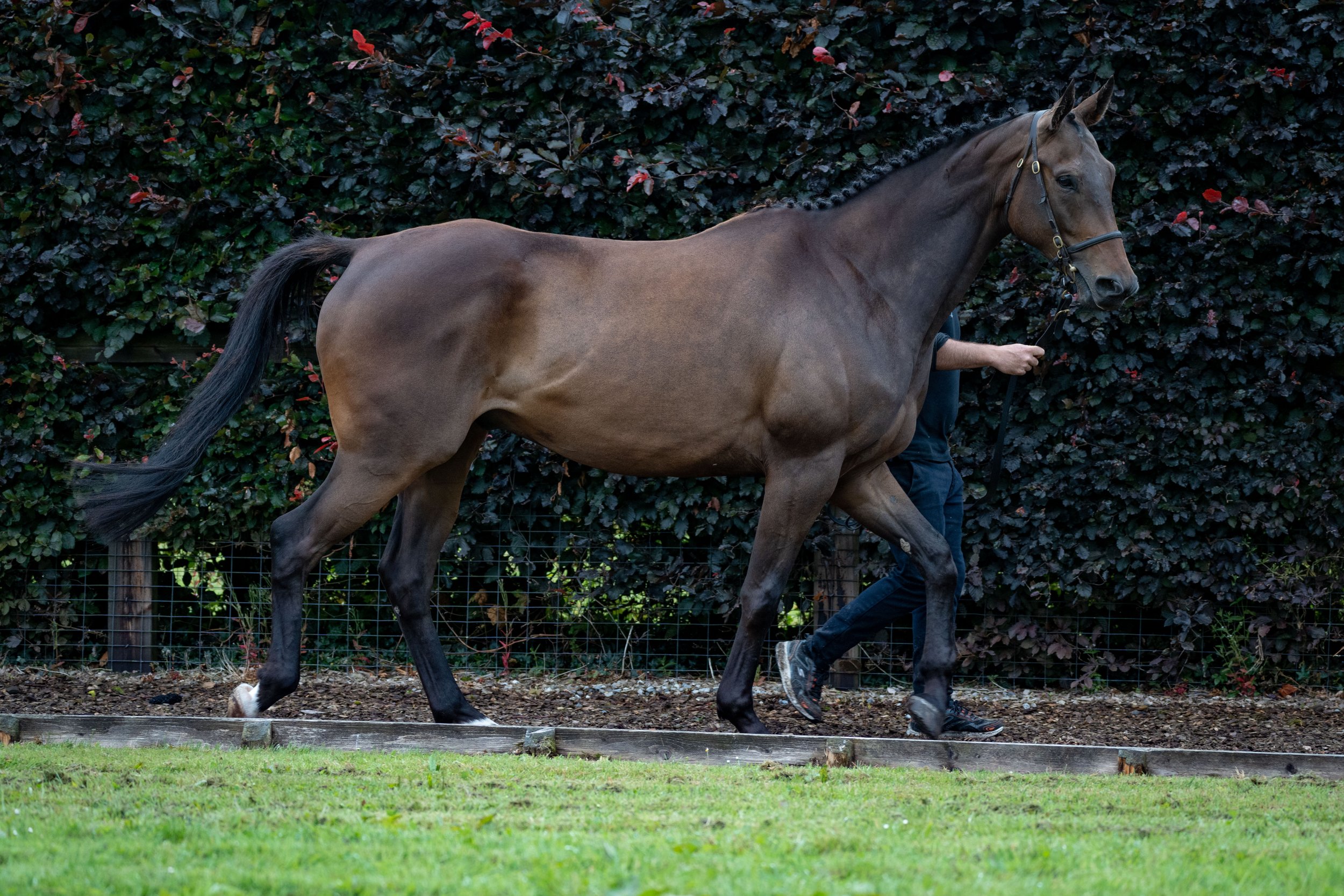 Syndicates Racing Open Morning 23.07.2022 (42 of 69).jpg