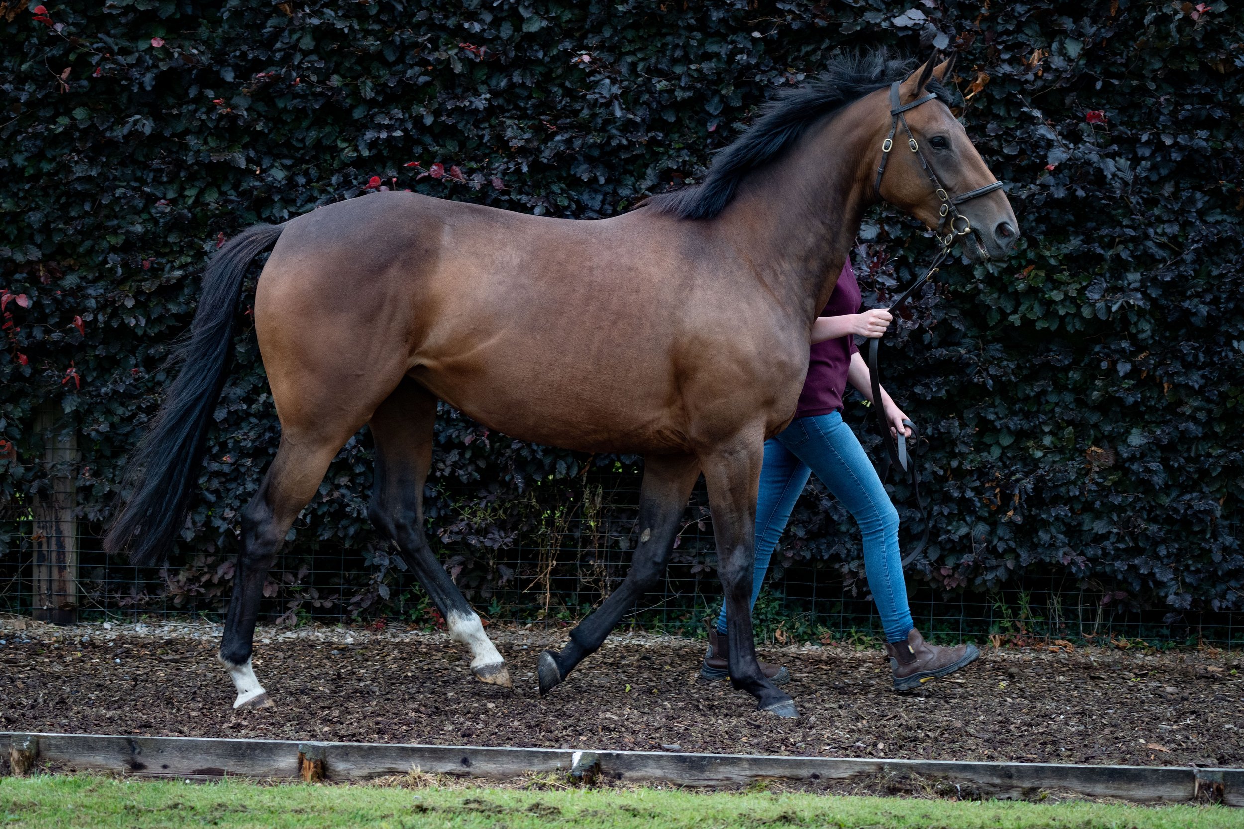 Syndicates Racing Open Morning 23.07.2022 (48 of 69).jpg