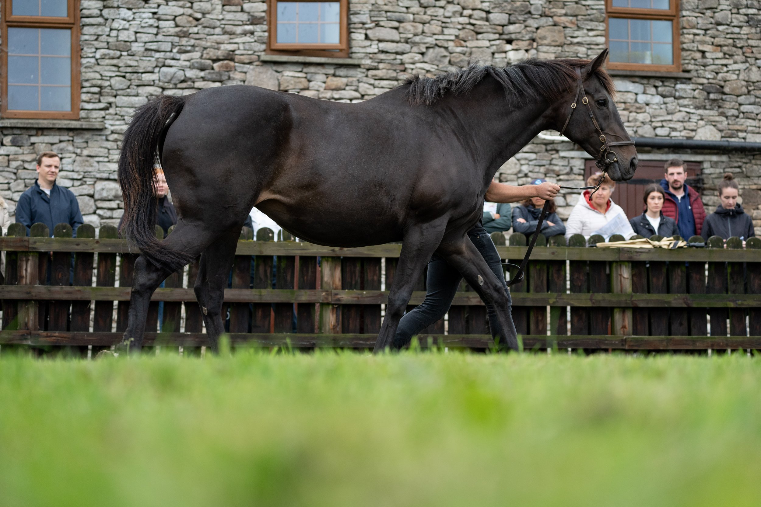 Syndicates Racing Open Morning 23.07.2022 (56 of 69).jpg