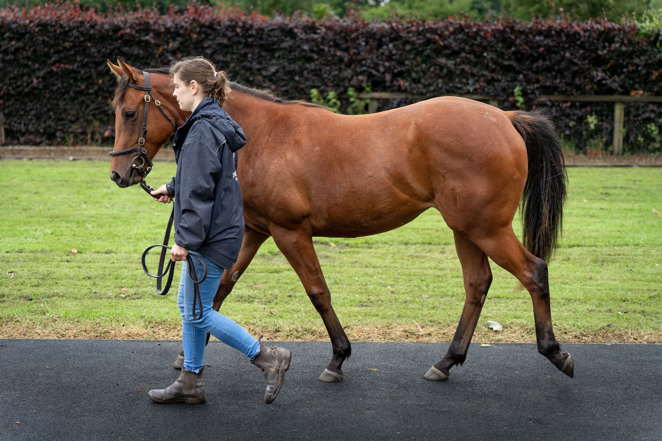 Syndicates Racing Open Morning 23.07.2022 (59 of 69).jpg