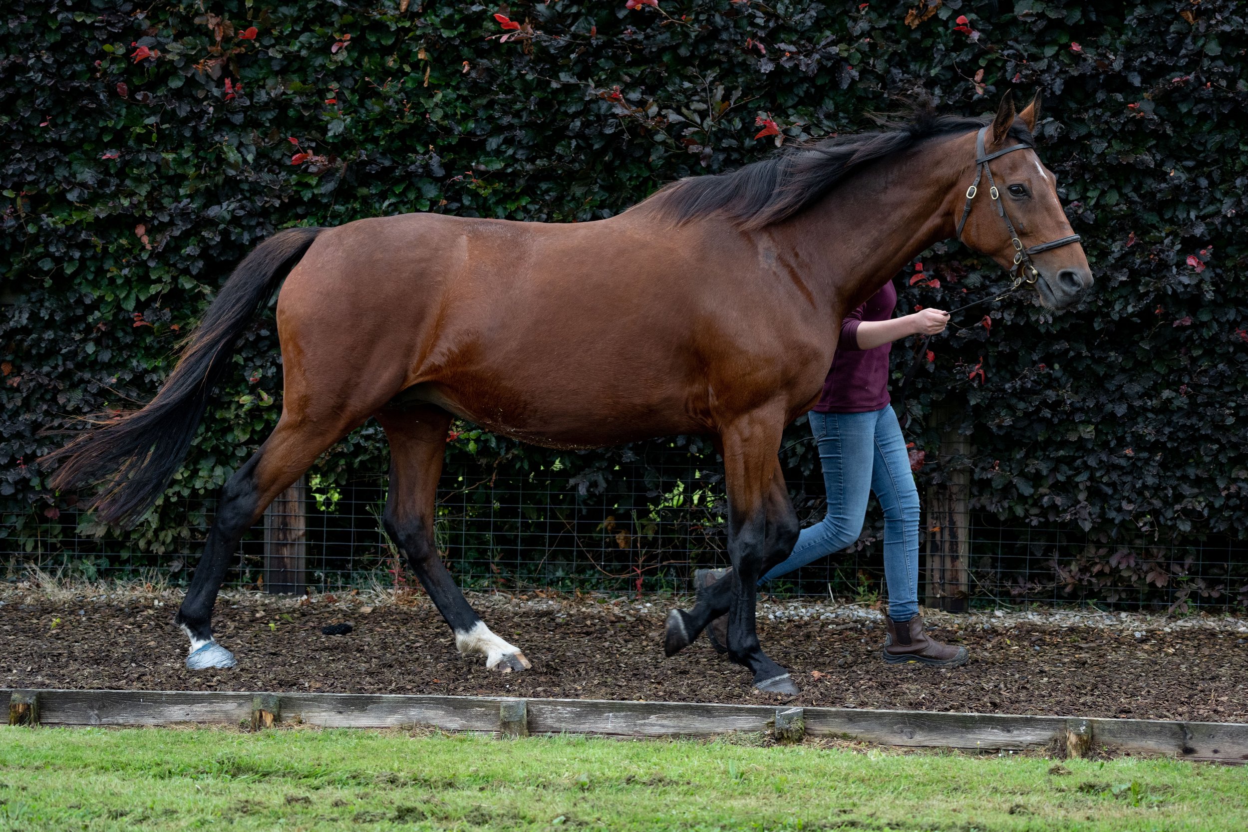 Syndicates Racing Open Morning 23.07.2022 (61 of 69).jpg