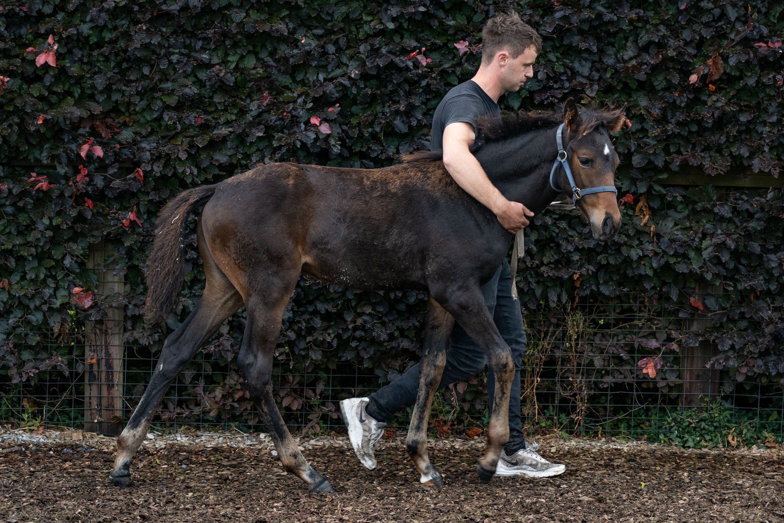 Syndicates Racing Open Morning 23.07.2022 (62 of 69).jpg